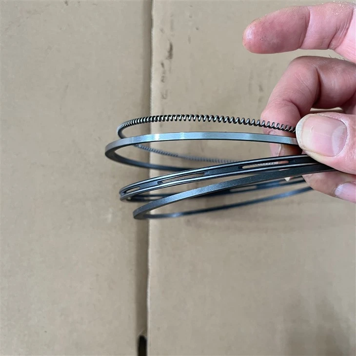 Diesel Engine ZS1115 Piston Rings factory